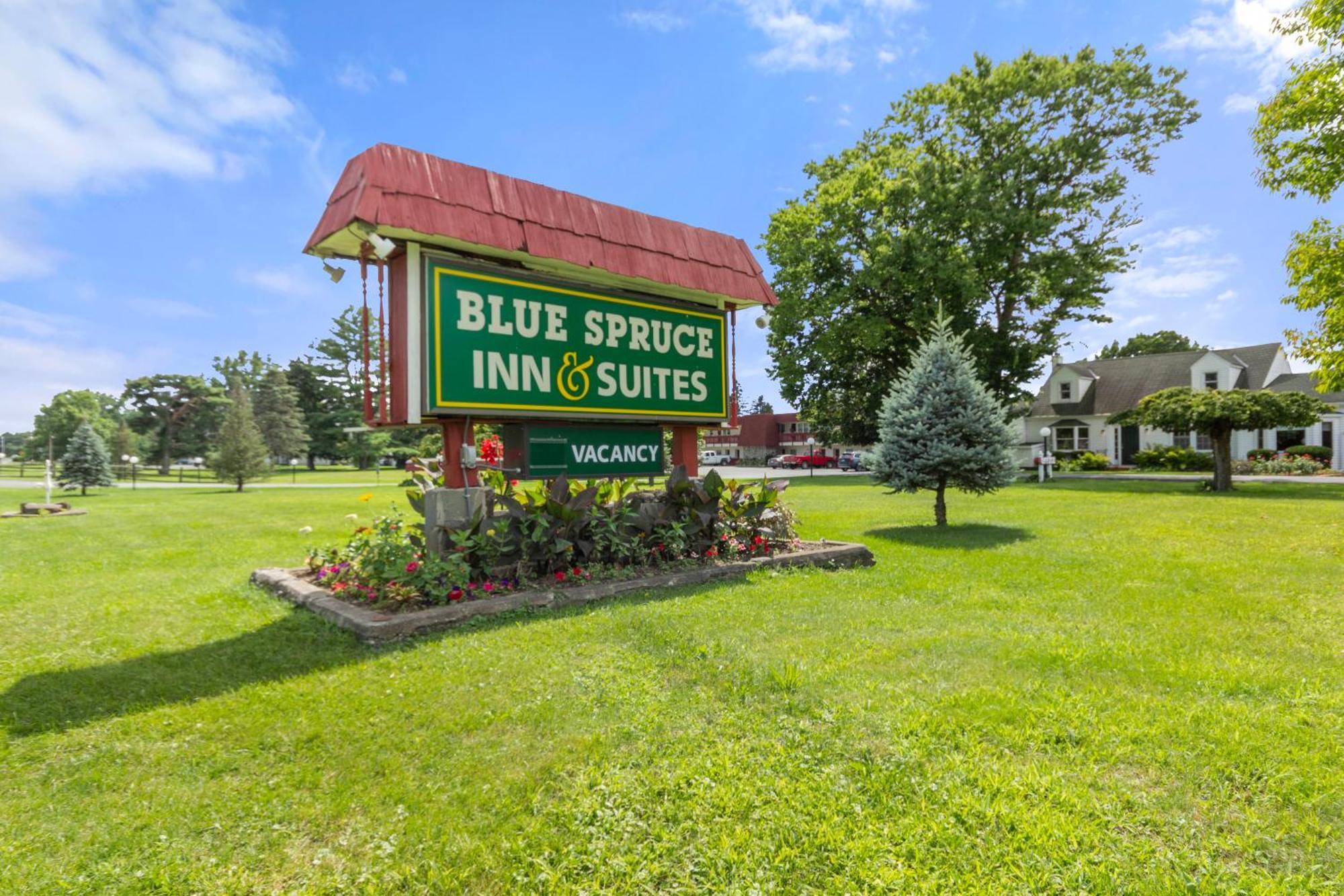 Blue Spruce Inn & Suites Valatie Exterior foto