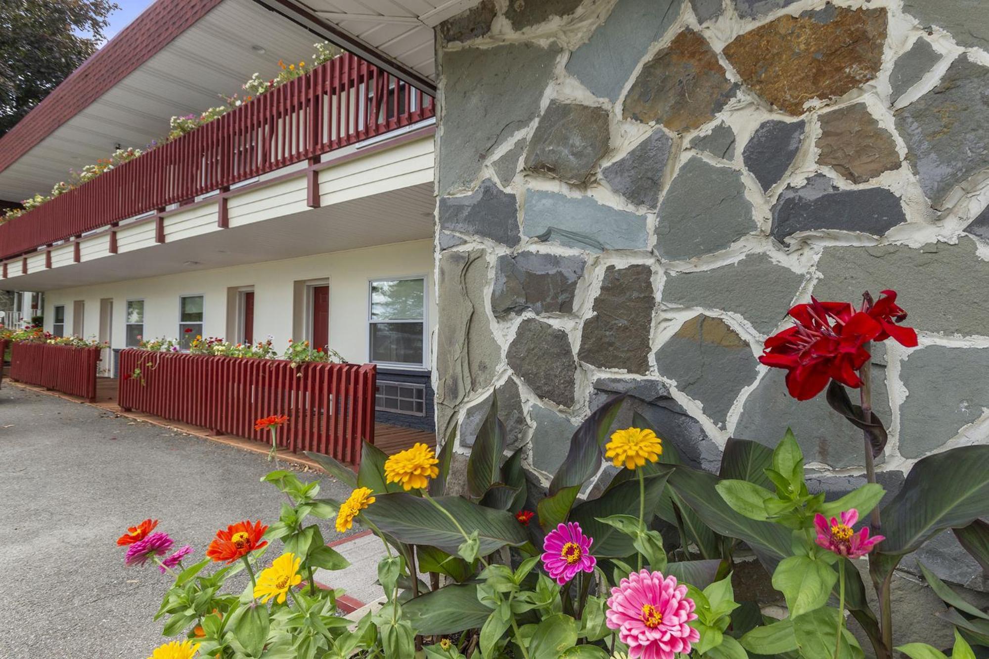 Blue Spruce Inn & Suites Valatie Exterior foto